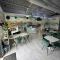Cần Sang Tiệm Boba Mochi House In Pinellas Park FL