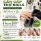 Tiệm Đông khách Cần Gấp Thợ Nails In Charlotte NC
