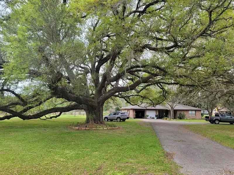 Ngôi Nhà Đẳng Cấp Trên Lô Đất 1.82 Mẫu Anh: Không Gian Sống Lý Tưởng, Đầu Tư Sinh Lời Cao Tại Thompsons, TX!