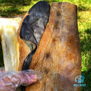 Đặc Sản khô Miền Tây Việt Nam Tại California Menu Cá Khô