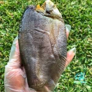 Đặc Sản khô Miền Tây Việt Nam Tại California Menu Cá Khô