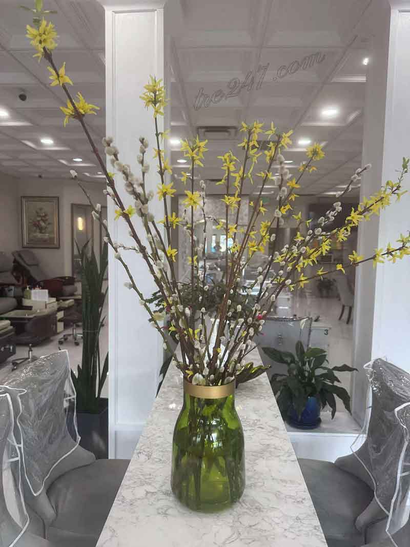 Cần Sang Tiệm Nail Vùng Birmingham Alabama