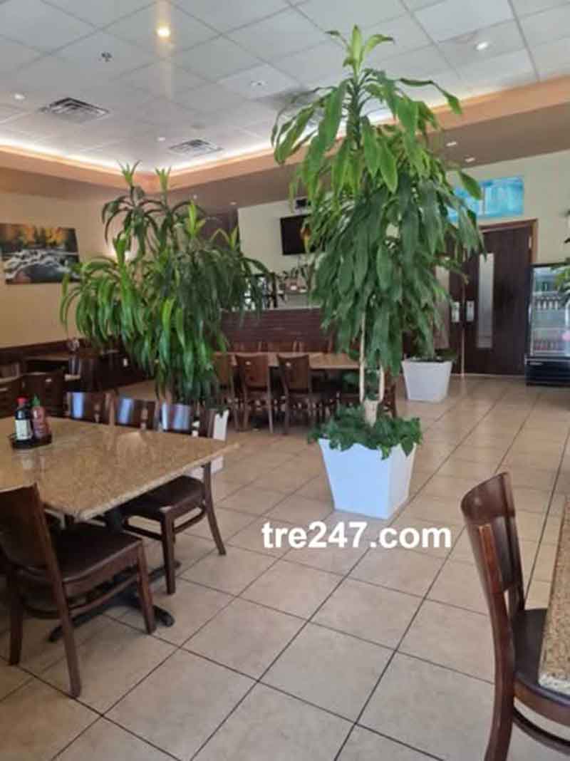Phở Filet – Cần Sang Nhượng Nhà Hàng Phở Tại San Antonio, TX