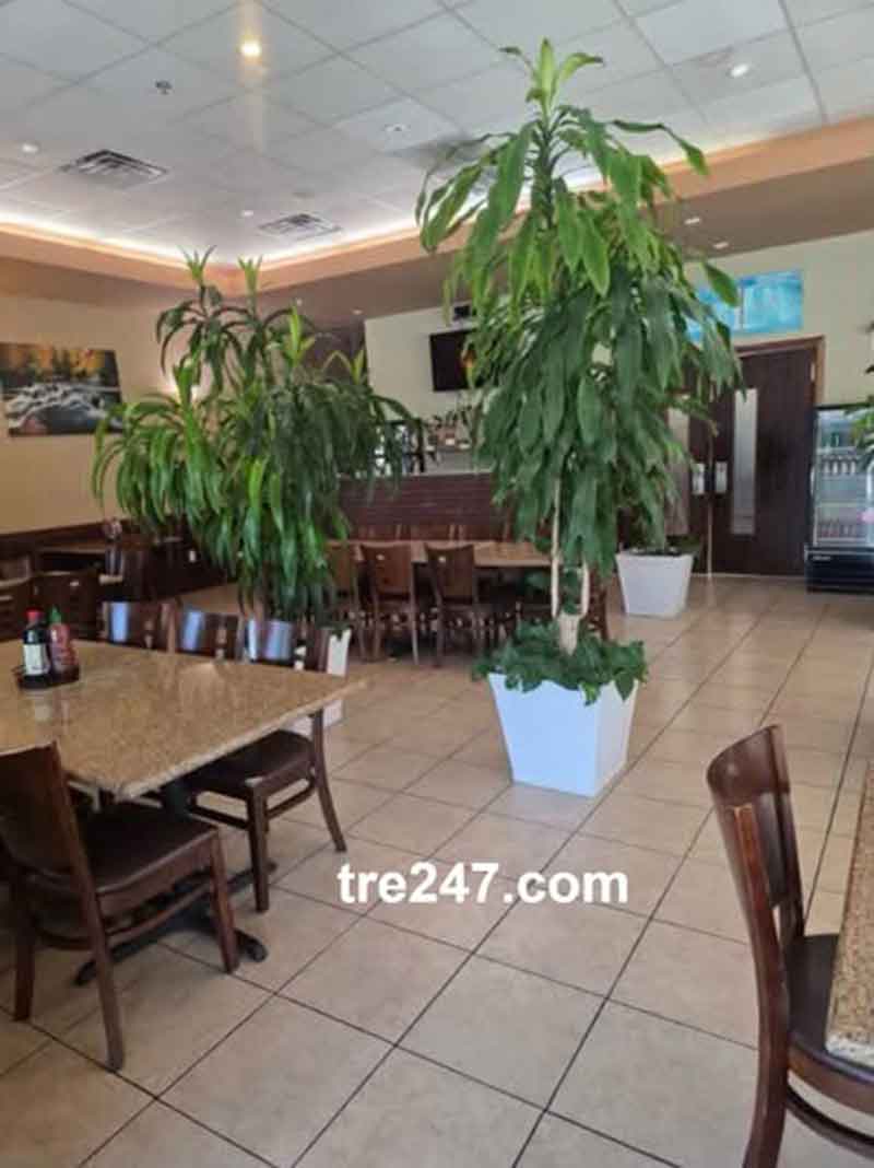 Phở Filet – Cần Sang Nhượng Nhà Hàng Phở Tại San Antonio, TX