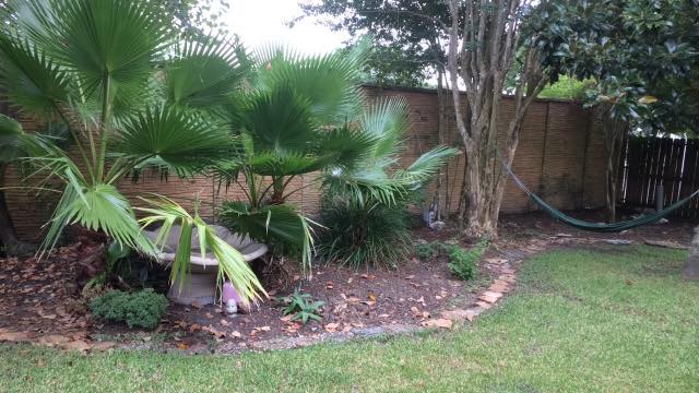 Share phong Houston,TX